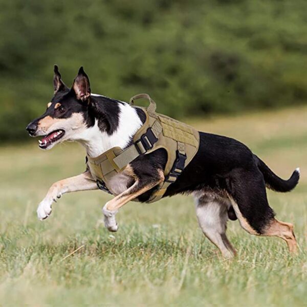 Adjustable German Shepherd Tactical Dog Harness Vest With Handle - Image 2