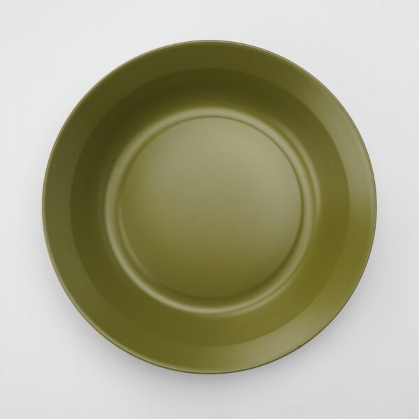 4-Piece Outdoor Stainless Steel Plates - Image 3